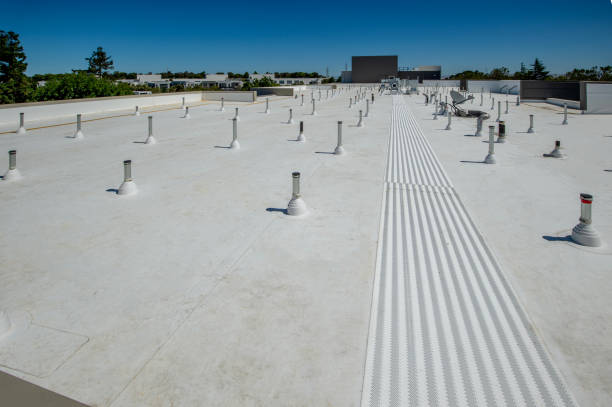 Best Roof Insulation Installation  in The Pinery, CO